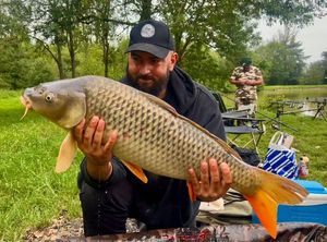Common Carp
