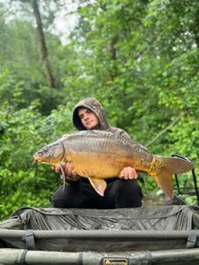 Mirror Carp