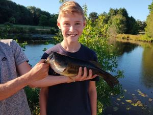 Largemouth Bass
