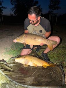 Mirror Carp