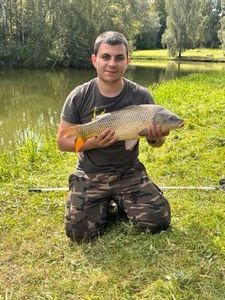 Common Carp