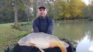 Mirror Carp