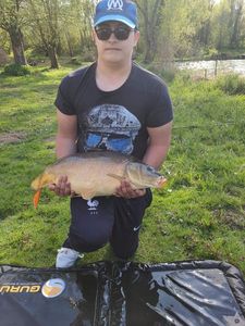 Mirror Carp