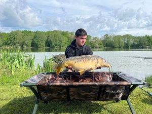 Mirror Carp