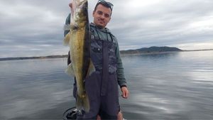 Zander