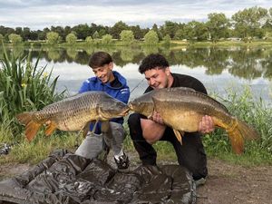 Common Carp