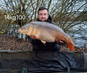 Mirror Carp