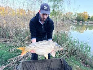 Common Carp