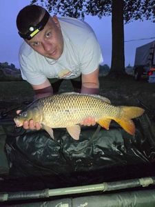 Common Carp