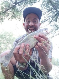 Rainbow Trout