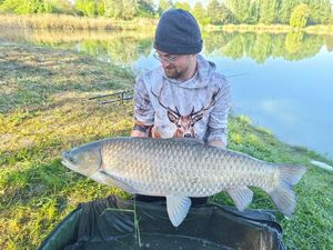 Grass Carp