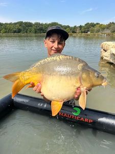 Mirror Carp
