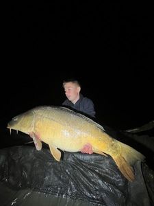 Mirror Carp