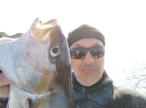 Greater Amberjack