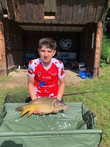 Mirror Carp