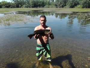 Largemouth Bass