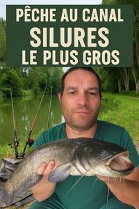 Wels