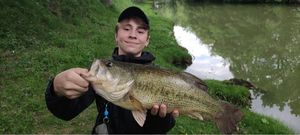 Largemouth Bass