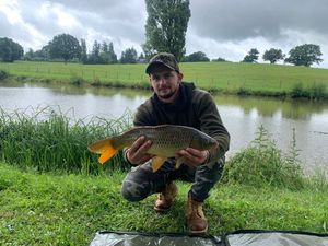 Common Carp