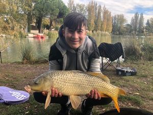 Common Carp