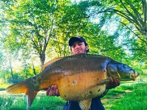 Mirror Carp