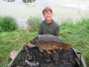 Common Carp