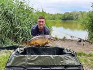 Mirror Carp