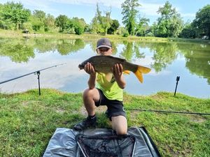 Common Carp
