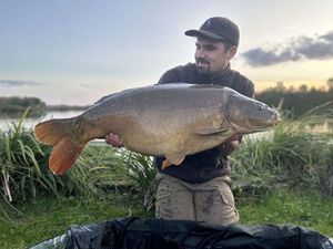 Mirror Carp