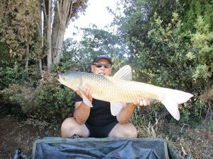 Grass Carp