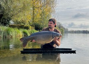 Common Carp