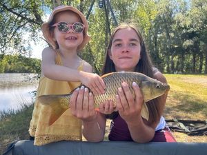 Common Carp