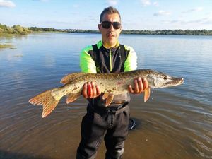 Northern Pike