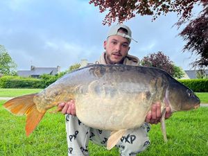 Mirror Carp