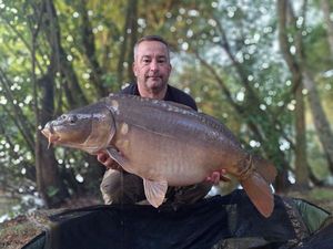 Mirror Carp