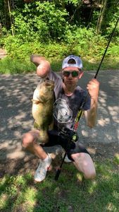 Smallmouth Bass