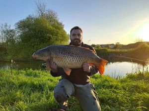 Common Carp