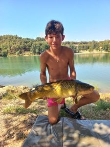 Common Carp