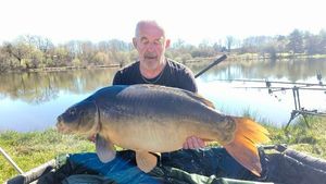 Mirror Carp