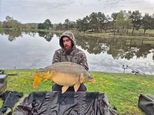 Mirror Carp