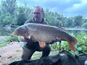 Common Carp