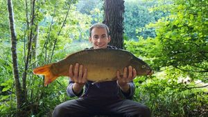 Mirror Carp