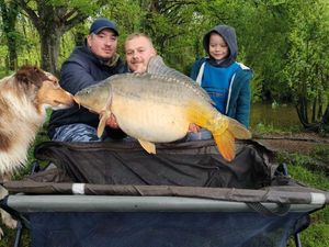 Mirror Carp