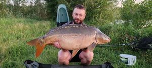 Mirror Carp