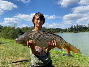 Common Carp