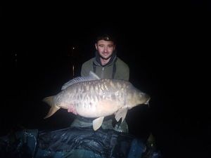 Mirror Carp