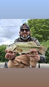 Smallmouth Bass