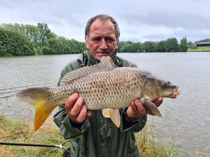 Common Carp