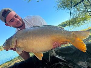 Mirror Carp