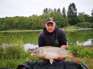 Common Carp